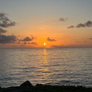 Meet your Posher, Evelyn